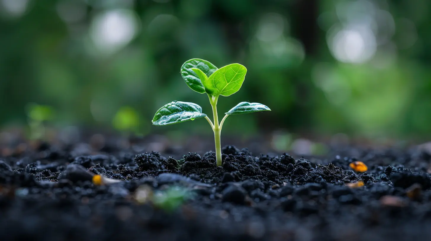 How to Diversify Your Investment for Long-Term Success