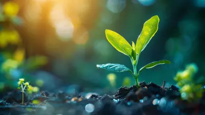 Developing Resilience for Sustainable Productivity