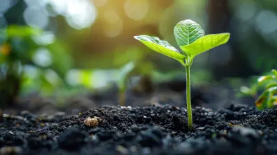 Developing Resilience for Sustainable Productivity