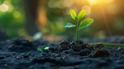 How Social Responsibility is Shaping Modern Investment Strategies