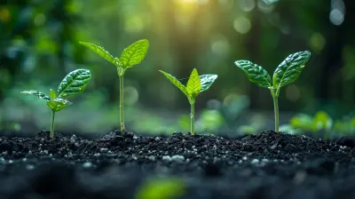 How to Scale Your Investment Beyond Traditional Asset Classes