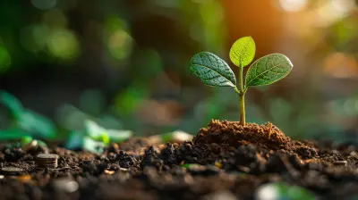 Insider's Guide to Venture Capital Investing