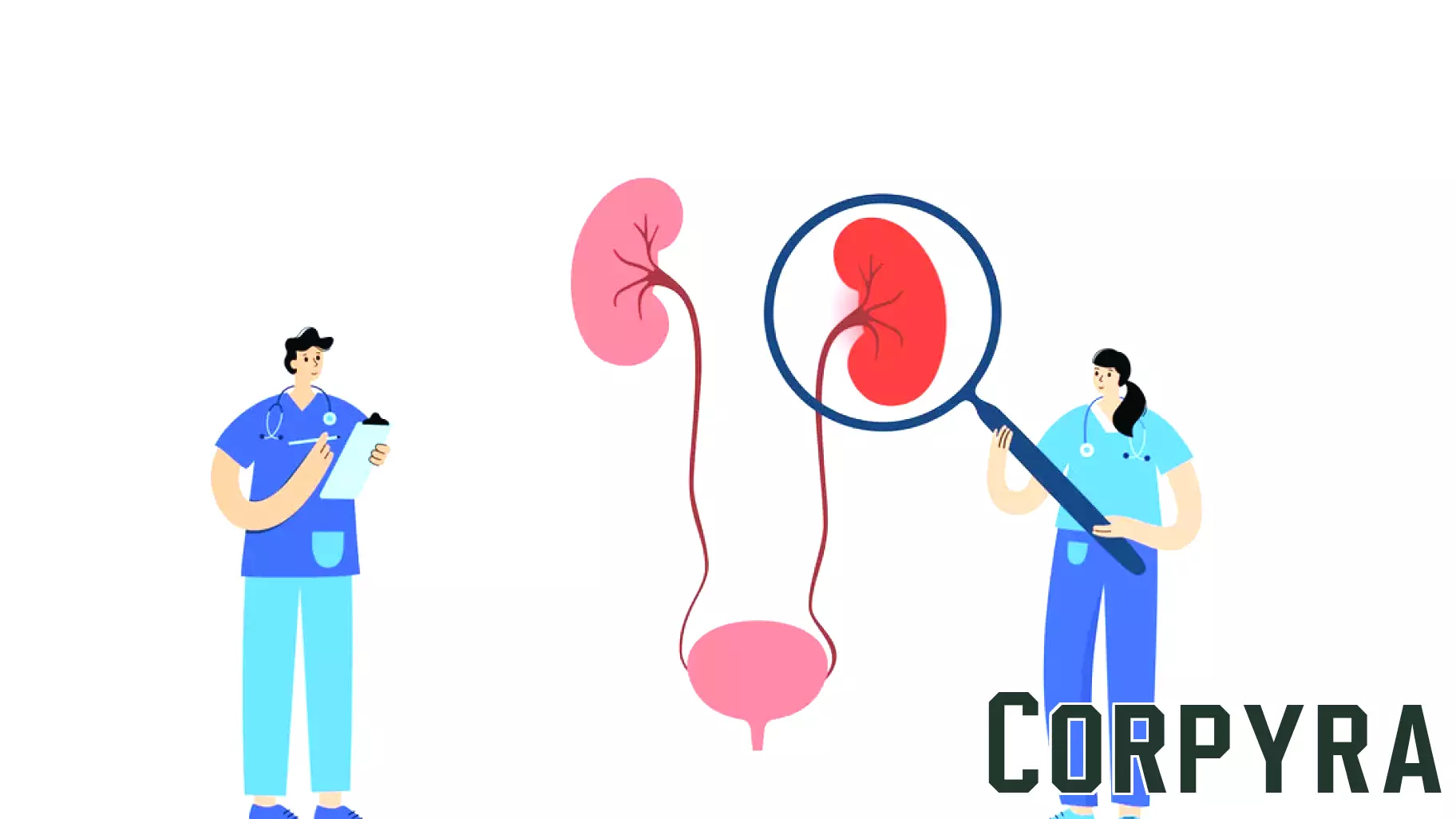 Acute kidney injury after TAVR: Key risk factors every cardiologist should know