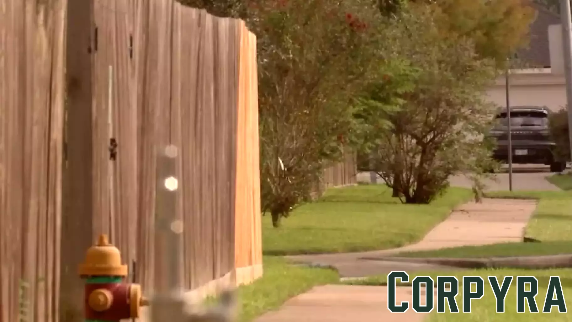 Arrest Made Following Masked Break-In at Deer Park Business