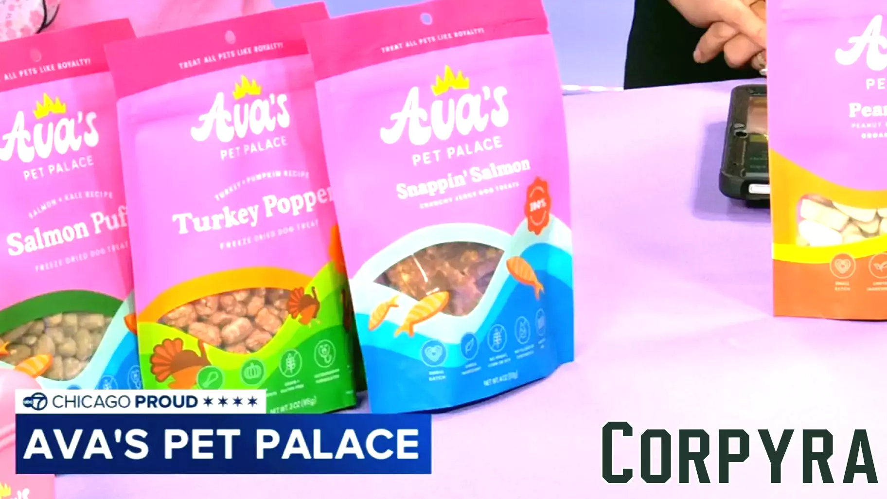 Chicago's Young Entrepreneur Thrives in Organic Pet Treat Industry