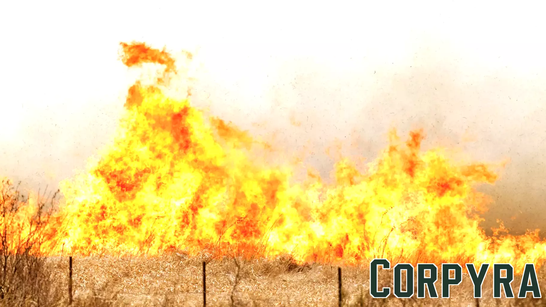 Combating Misinformation: A Researcher's Initiative to Protect Communities