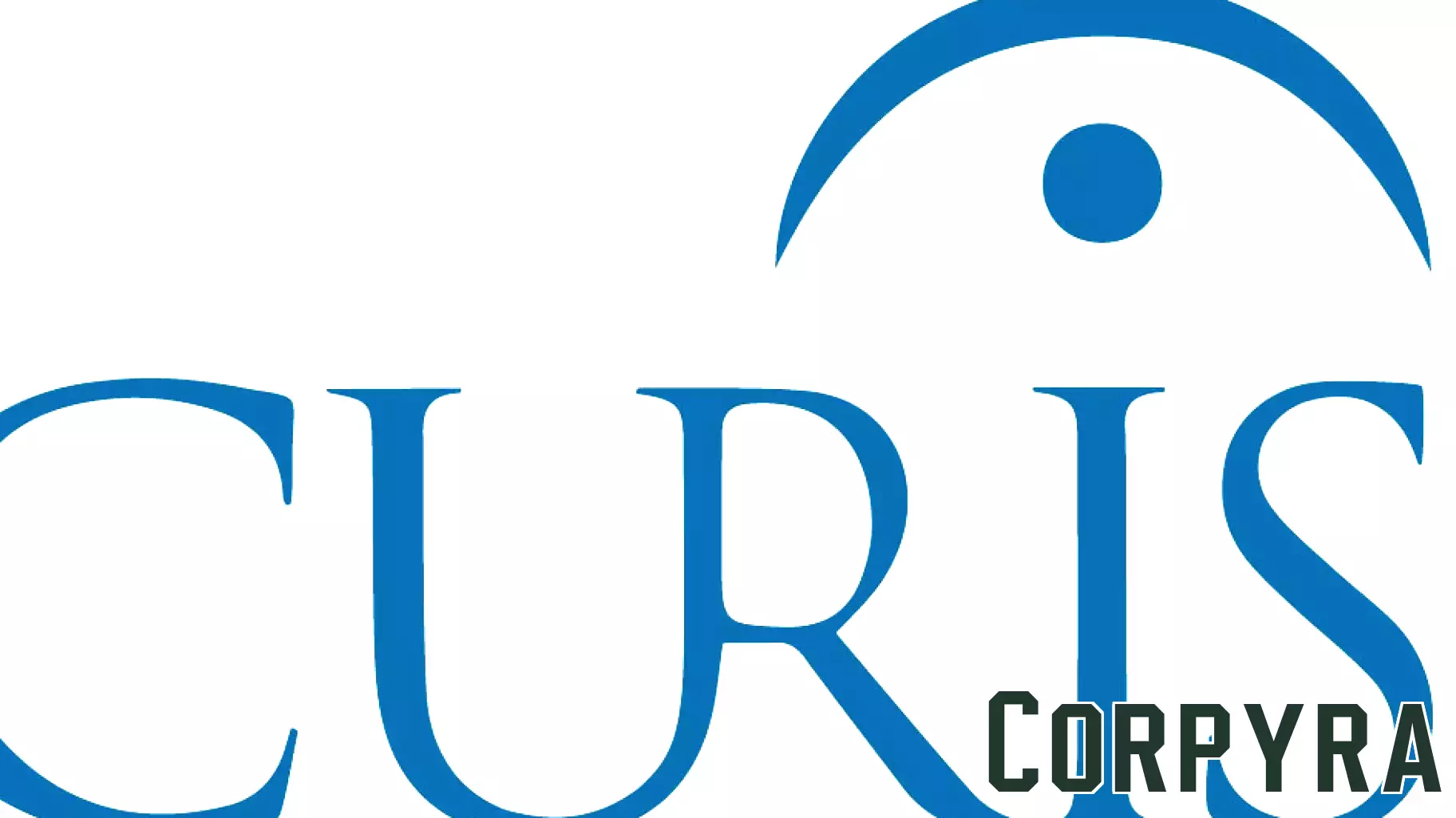 Curis Provides Fourth Quarter 2025 Business Update