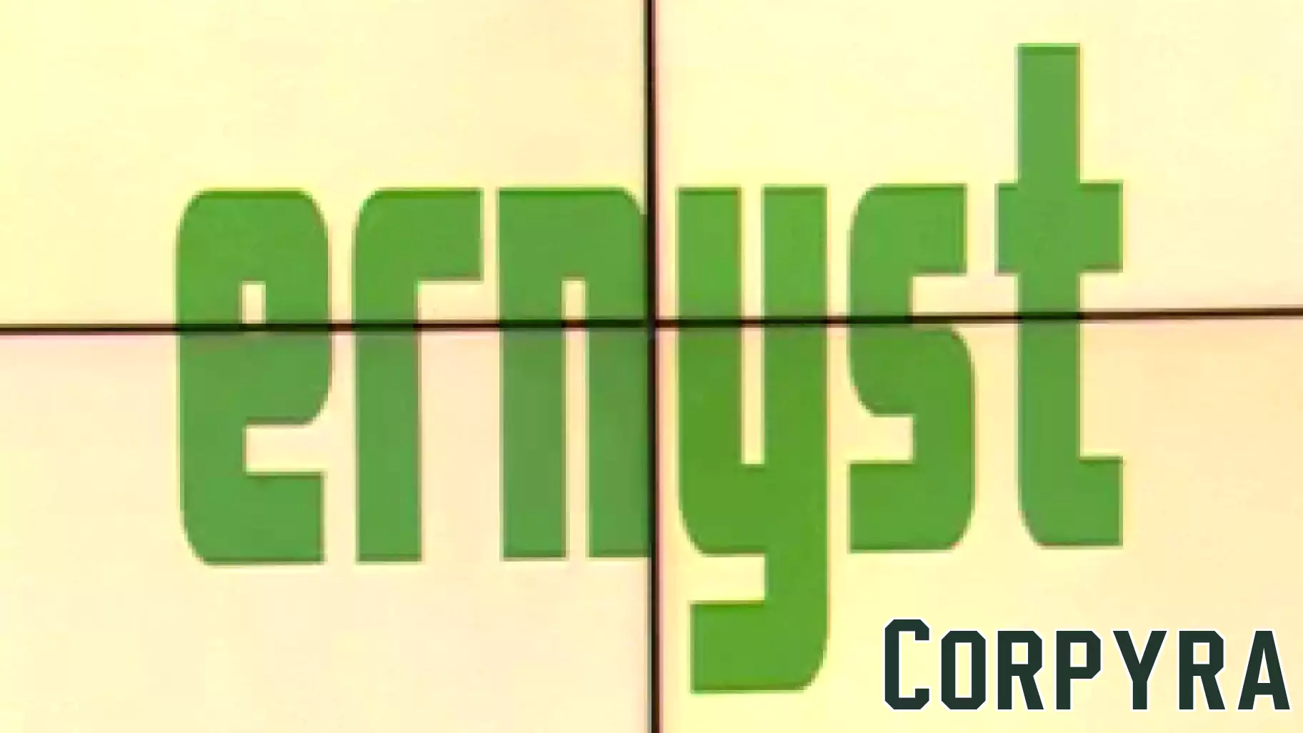 From Campus Need to Startup Success: UC Berkeley Sophomore Launches 'Ernyst' to Connect Students with Community Help