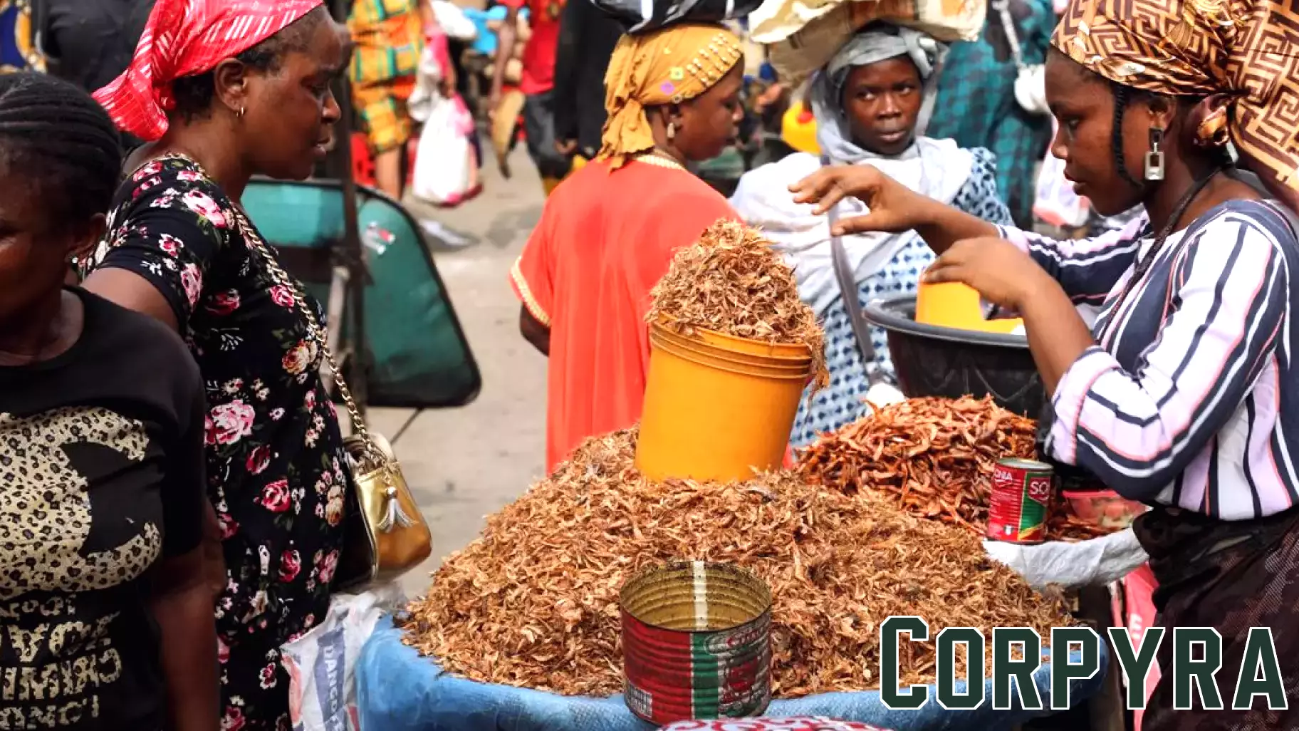 Regional Economies Strained as Global Oil Prices Surge