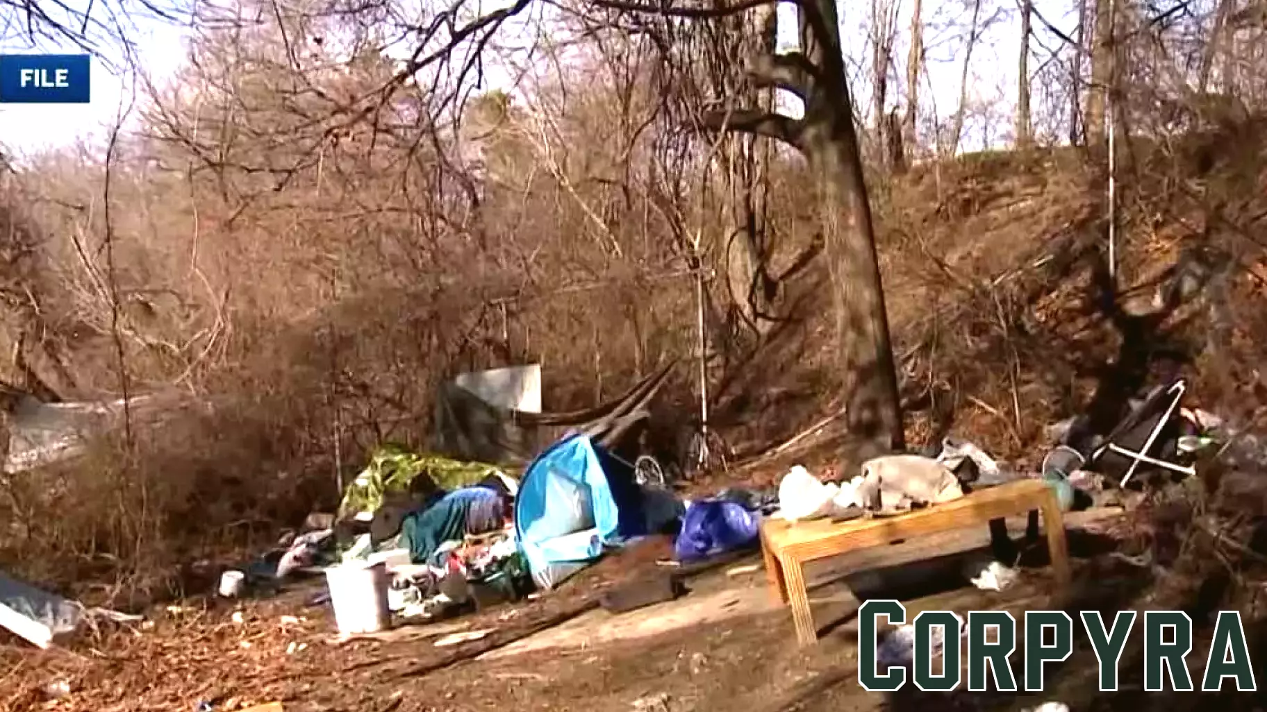 Rising Concerns Over Homelessness Among Nashua Business Owners