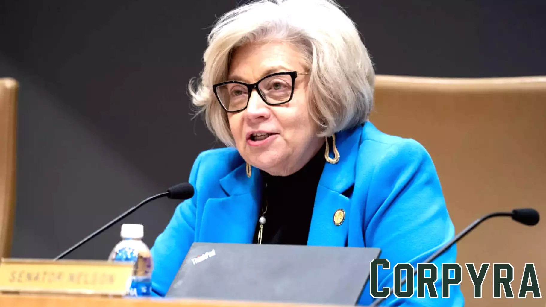 Sen. Carla Nelson Earns Perfect Score on Small Business Voting Record