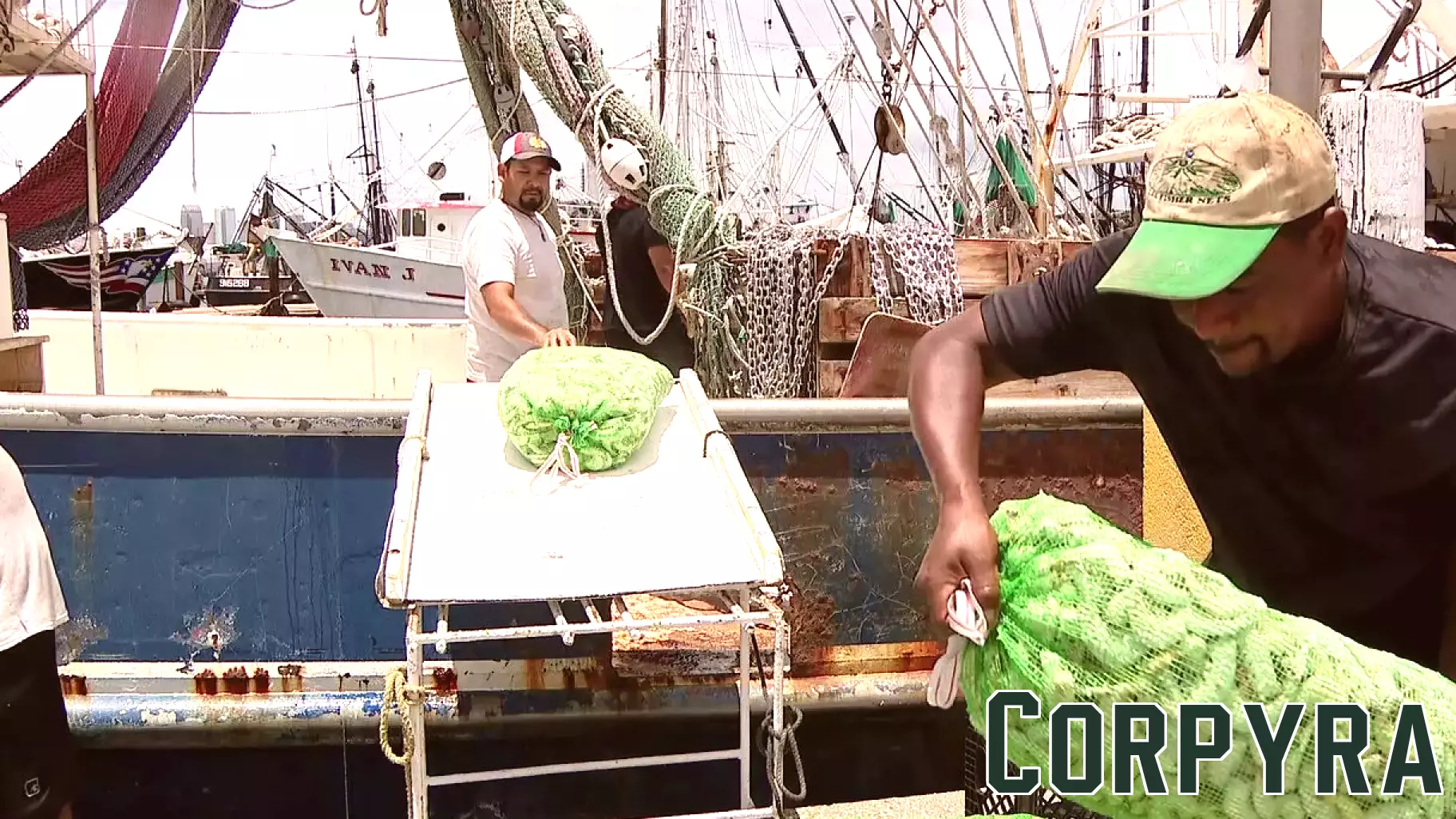 Shrimping Industry in Florida Faces Decline as Family Businesses Struggle