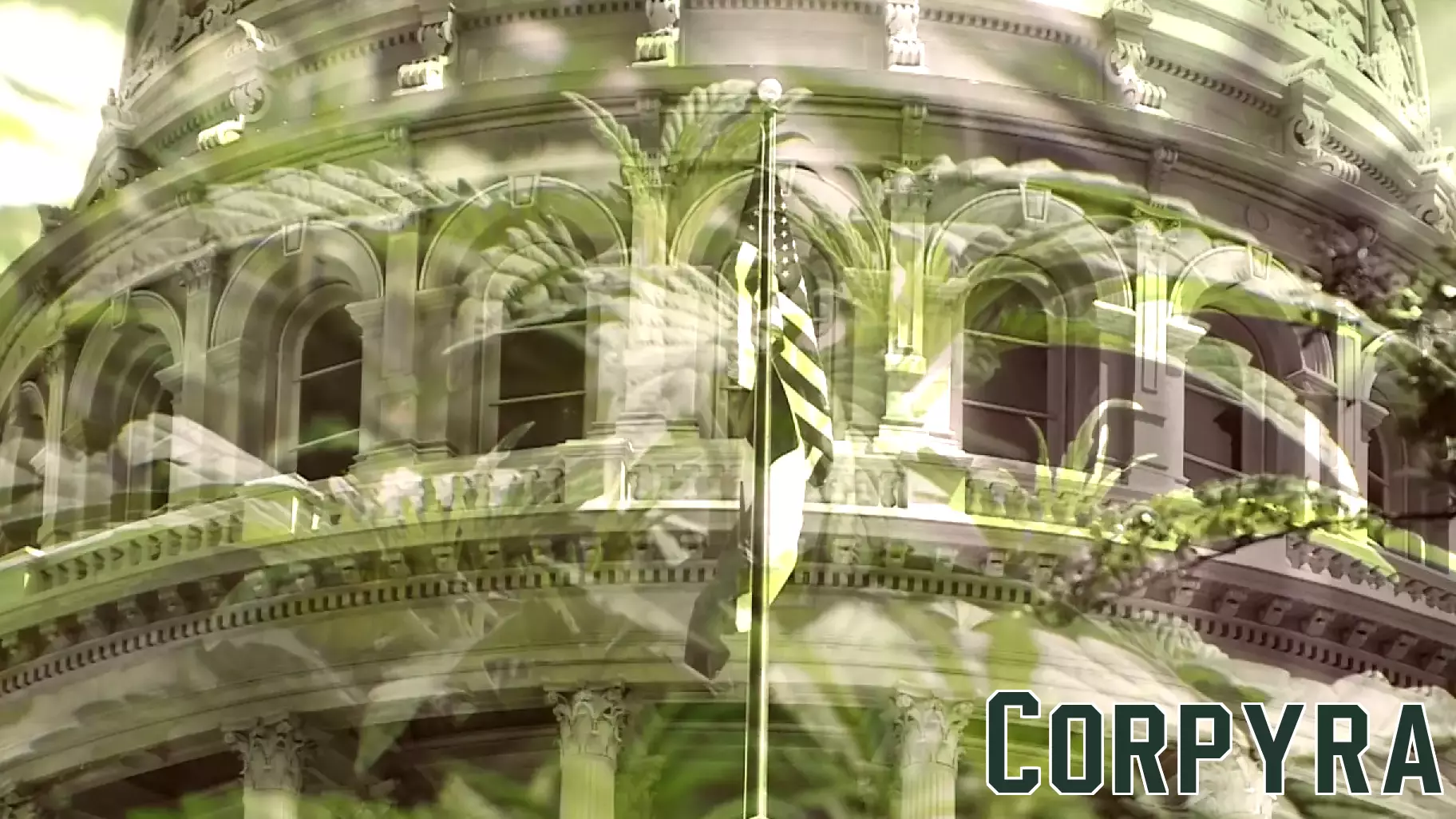 Texas Hemp Industry Faces Uncertain Future Amid Proposed THC Ban