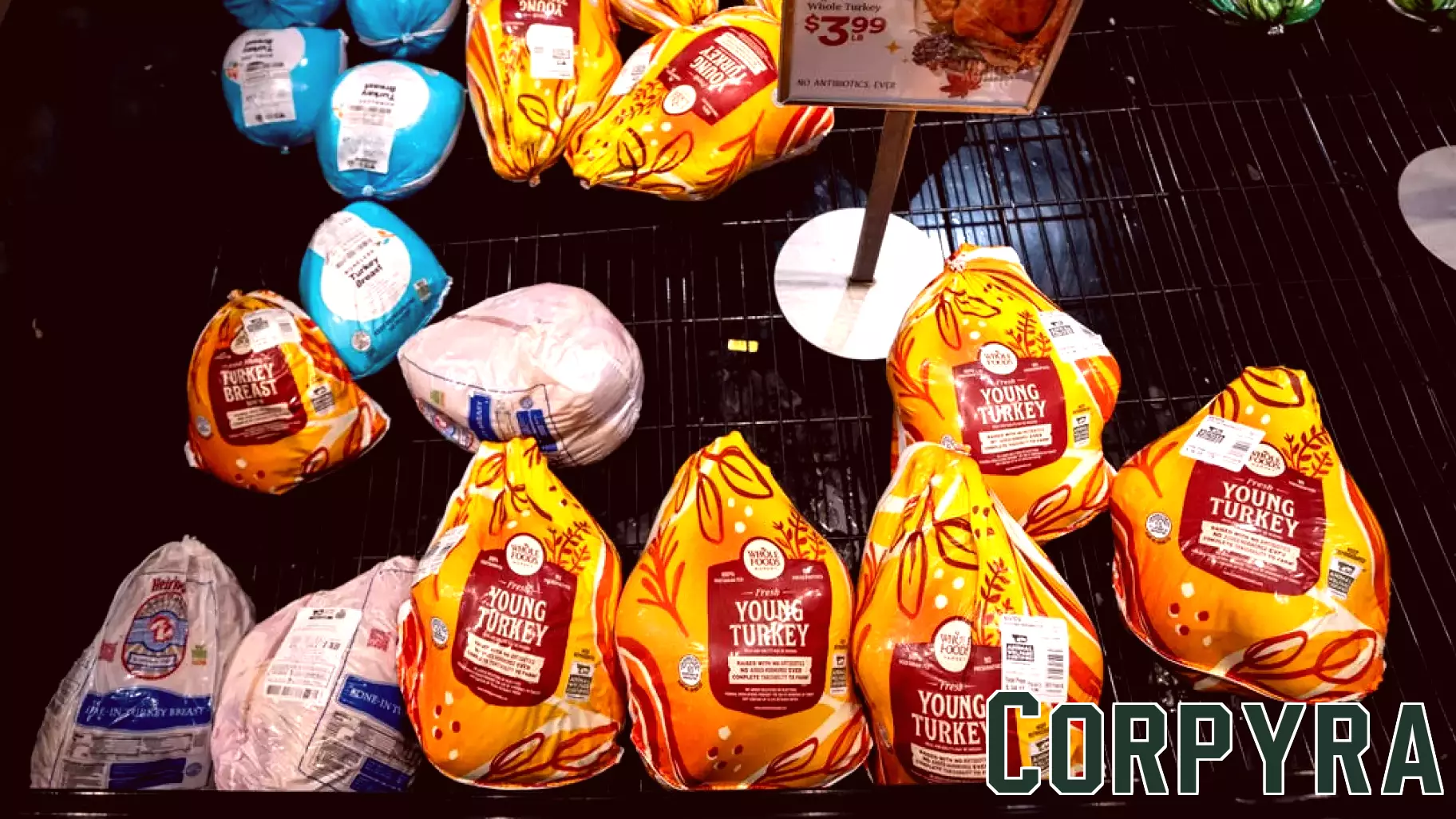 Thanksgiving Shopping Trends Reflect a Focus on Budgeting