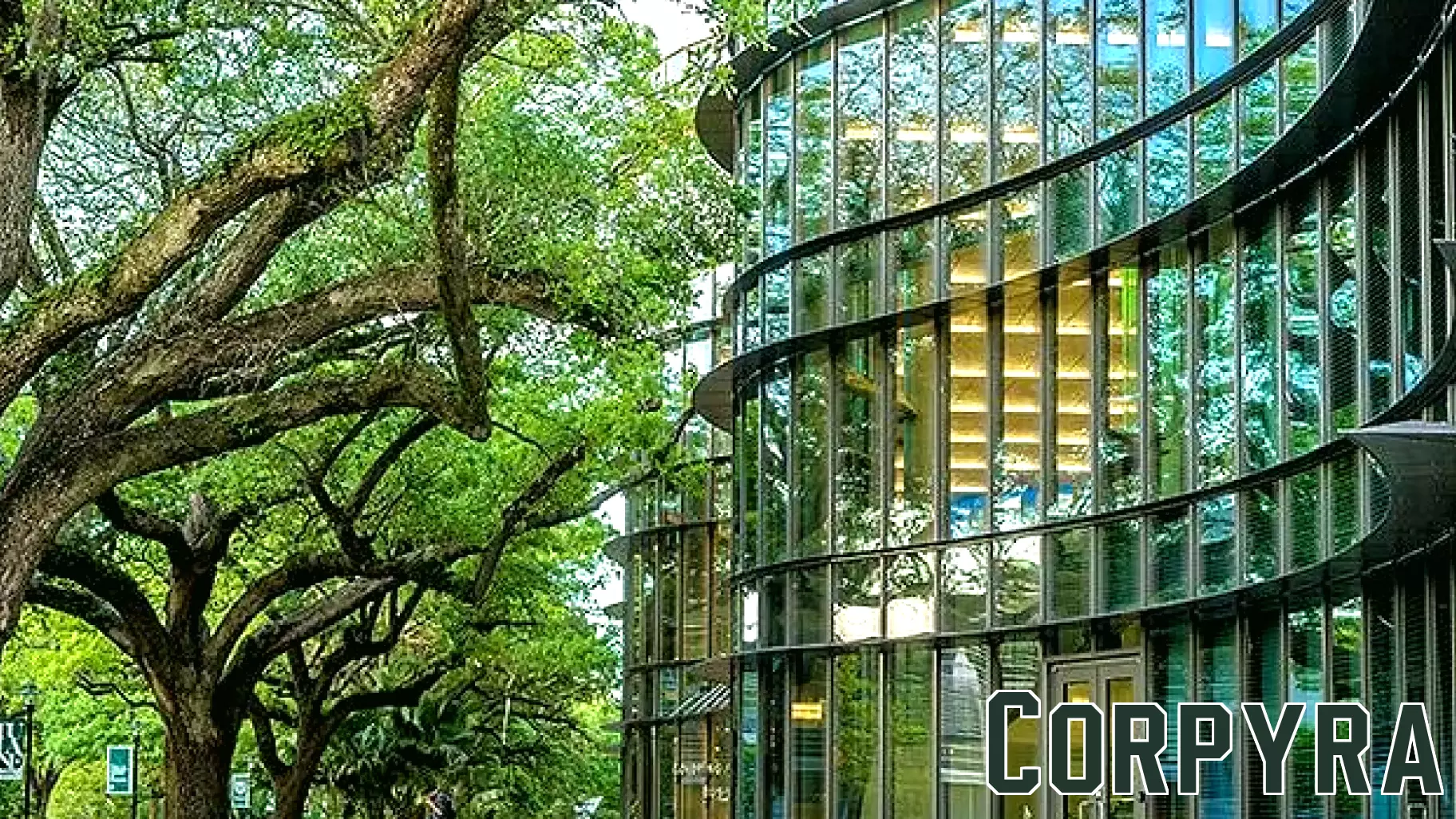 Tulane University’s Venture Fund Backs New Orleans Education Startup Hilight