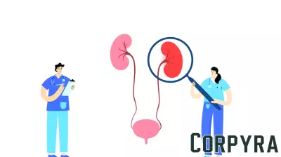 Acute kidney injury after TAVR: Key risk factors every cardiologist should know