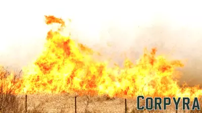 Combating Misinformation: A Researcher's Initiative to Protect Communities