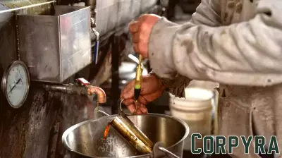 Impact of Tariffs on Vermont Businesses: Breweries and Maple Syrup Producers Affected