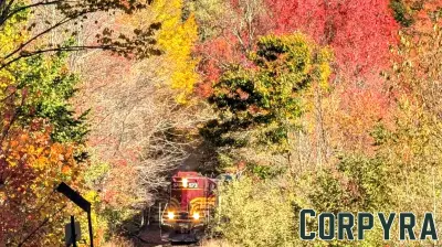 Mount Washington Valley Businesses Report Successful Foliage Season Despite Drought and Declining Canadian Visits