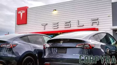 Rising Vandalism Threatens Tesla's Insurance Costs